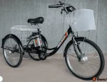 Трехколесный электровелосипед РВЗ Чемпион