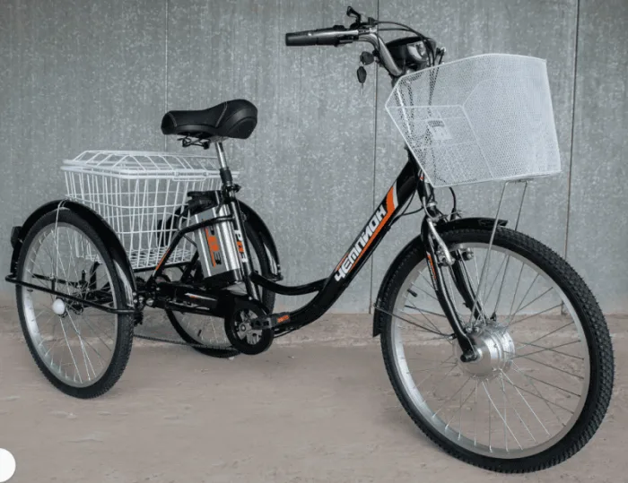 Трехколесный электровелосипед РВЗ Чемпион — изображение 2