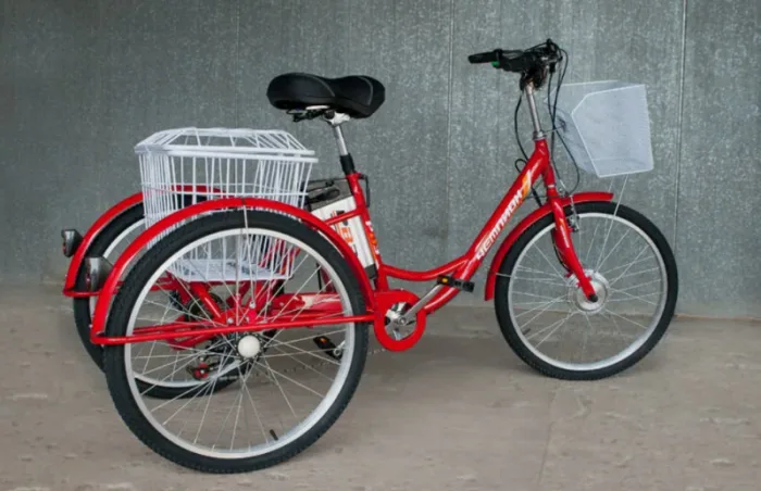 Трехколесный электровелосипед РВЗ Чемпион — изображение 4