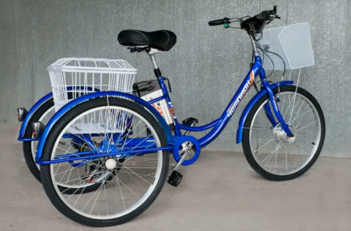 Трехколесный электровелосипед РВЗ Чемпион — изображение 5