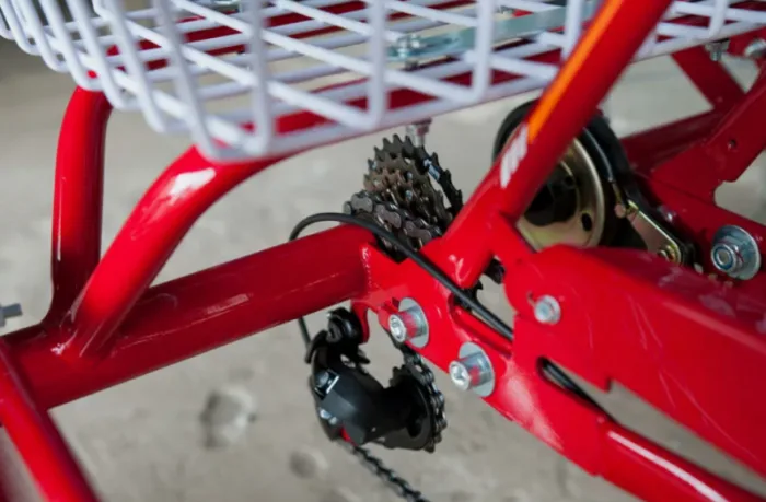 Трехколесный электровелосипед РВЗ Чемпион — изображение 8