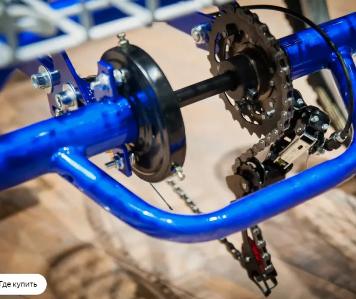 Трехколесный электровелосипед РВЗ Чемпион — изображение 9