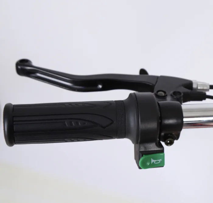 Трехколесный электровелосипед Etoro Turino 350 (Уценка) — изображение 12