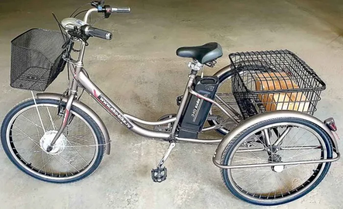 Трехколесный электровелосипед Etoro Turino 350 (Уценка) — изображение 13