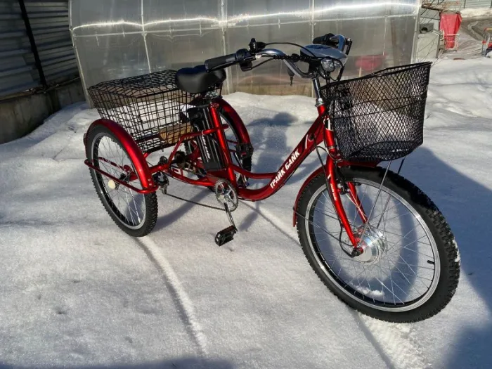 Трехколесный электровелосипед Etoro Turino 350 (Уценка) — изображение 19