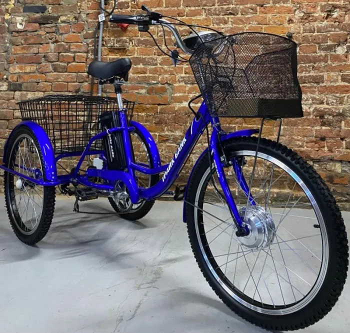 Трехколесный электровелосипед Etoro Turino 350 (Уценка) — изображение 3