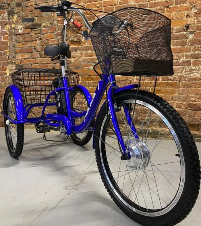 Трехколесный электровелосипед Etoro Turino 350 (Уценка) — изображение 4