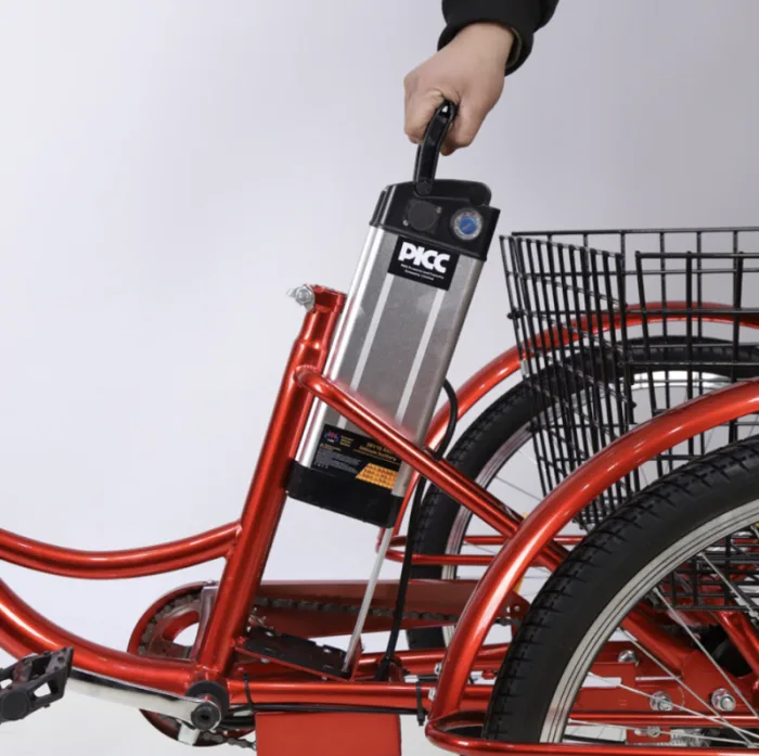 Трехколесный электровелосипед Etoro Turino 350 (Уценка) — изображение 6