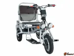 Электроскутер Wellness Adjutant 350w
