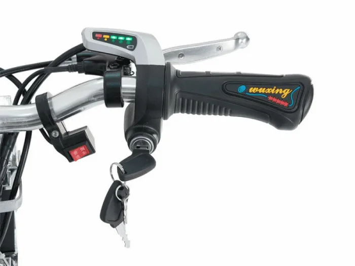 Электроскутер Wellness Adjutant 350w — изображение 9