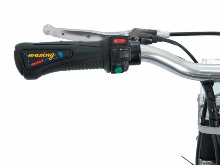 Электроскутер Wellness Adjutant 350w — изображение 10