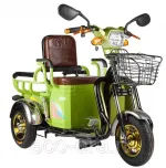 Электроскутер Trike 500W - электротрицикл грузовой Greengo V1 500W — изображение 2