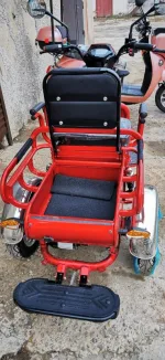 Электроскутер Trike 500W - электротрицикл грузовой Greengo V1 500W — изображение 7