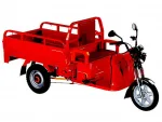 Электротрицикл Etoro Etrike F2 — изображение 3