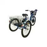 Электровелосипед трехколесный Etoro Star Lux 1500W 48В 18Ач — изображение 4