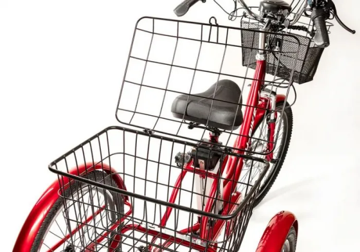 Трехколесный электровелосипед взрослый Etoro Turino 350 — изображение 3