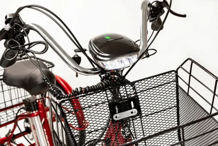 Трехколесный электровелосипед взрослый Etoro Turino 350 — изображение 4