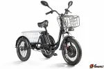 Трехколесный электровелосипед Eltreco Porter Fat 500