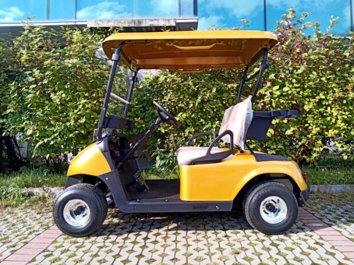 Гольфкар EWAY HM2 — изображение 3
