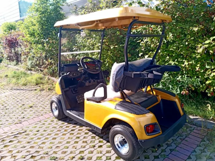 Гольфкар EWAY HM2 — изображение 4