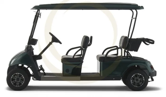 Гольфкар EWAY HM4 — изображение 2