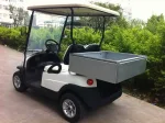 Гольфкар EXCAR EX-A1S2 CARGO — изображение 3