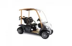 Гольфкар GARIA MANSORY — изображение 10