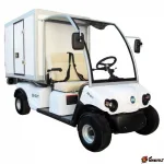 Гольфкар SGMS SG-GYT Cargo