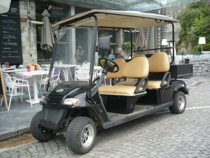 golfkar-volteco-gf4-cargo-13 Гольфкар VOLTECO GF4 CARGO — изображение 14