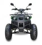 Электроквадроцикл GreenCamel Сахара A2230 (72V 2200W R10 Дифференциал) — изображение 5