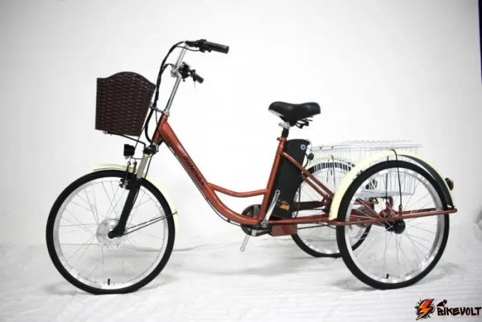 Трехколесный электровелосипед GreenCamel Трайк-20 (R20 500W 48V 15Ah) Складной — изображение 16