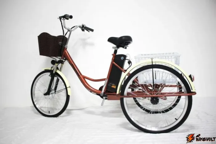 Трехколесный электровелосипед GreenCamel Трайк-20 (R20 500W 48V 15Ah) Складной — изображение 9