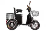 Электротрицикл Trike Greengo V8 240W с АКБ в комплекте — изображение 12