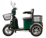 Электротрицикл Trike Greengo V8 240W с АКБ в комплекте — изображение 4