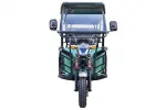 Rutrike Рикша 60V1000W — изображение 12