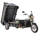 Грузовая электрическая тележка(электротрицикл) Rutrike D5 2000 60V2000W — изображение 3