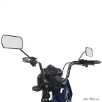 Грузовая электрическая тележка Trike Cargo — изображение 3