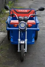 Грузовая электрическая тележка Electrotrike V300 — изображение 5