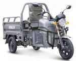 Грузовой электротрицикл Rutrike Вояж К22 1200 60V/800W — изображение 2
