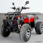 Электроквадроцикл E-toro 4000 Lux — изображение 9