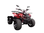 Электроквадроцикл Mytoy 2000A 1000W 60V20Ah — изображение 2