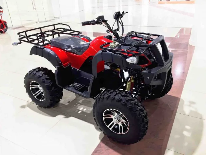 Электроквадроцикл Mytoy 2000D 1000W — изображение 4