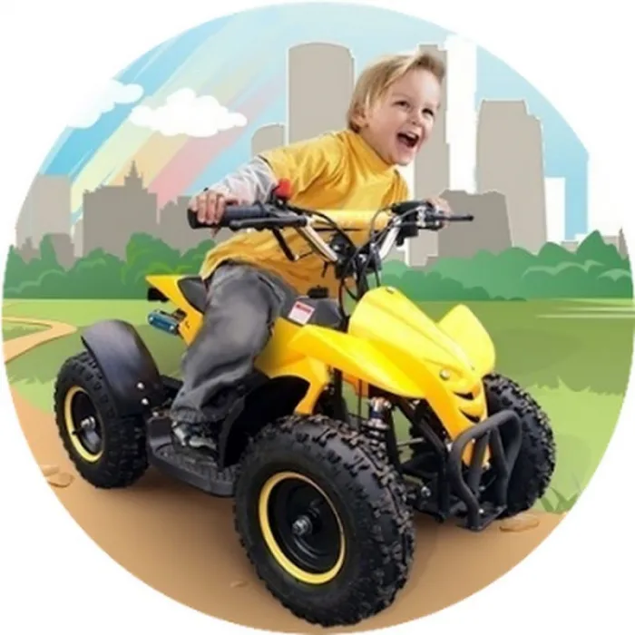 Электроквадроцикл Mytoy 800A 800W 36V12Ah — изображение 6