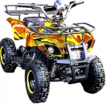 Электроквадроцикл Mytoy EX mini 500W 36V12Ah — изображение 2