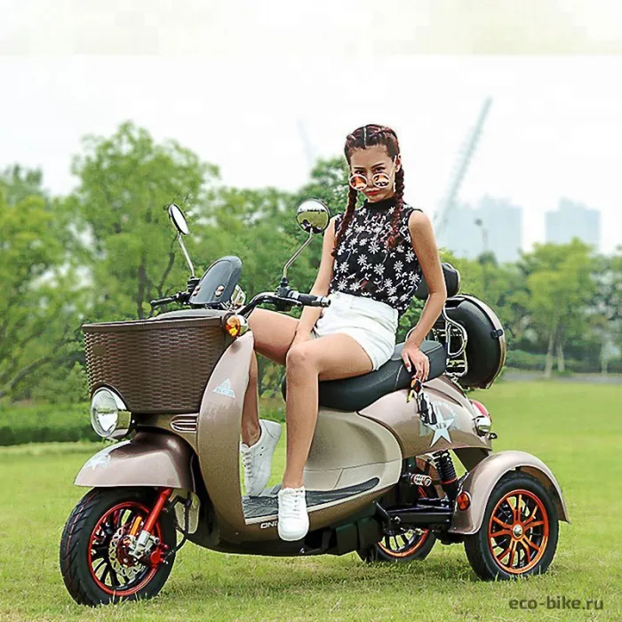 Электроскутер Vespa New 48v 20Ah 800W — изображение 4