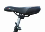 Электровелосипед трицикл bikevolt Dacha(Fazenda) 250 Велогибрид — изображение 3
