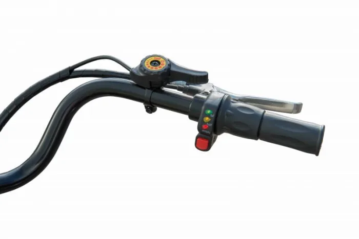 jelektrotricikl-bikevolt-dacha-fazenda-250-velogibrid-tricikl-jeko-bajk-dacha-fazenda-250-krasnij-3 Электровелосипед трицикл bikevolt Dacha(Fazenda) 250 Велогибрид — изображение 4