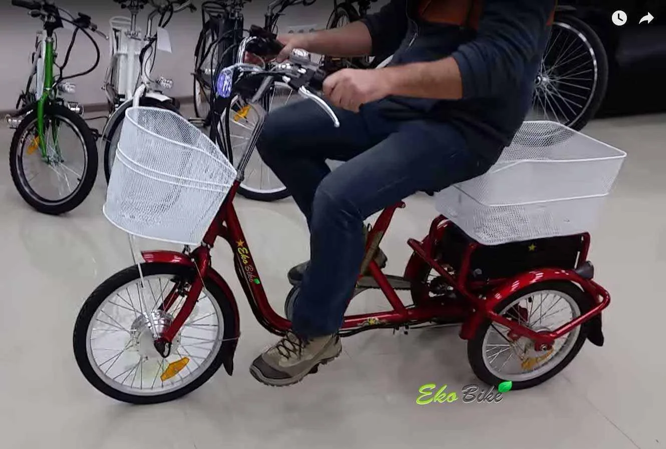 bikevolt Dacha