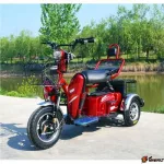 Электротрицикл E-toro Double 500W 48V20Ah