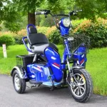 Электротрицикл E-toro Double 500W 48V20Ah — изображение 3